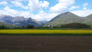 20160419_125439