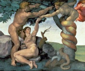 la radice